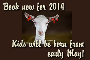 Book now for 2014 - 100 secures your booking - no kidding!