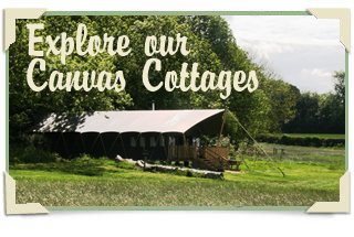 View our luxurious accommodation for luxury glamping.