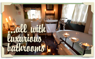 View our luxurious accommodation for luxury glamping.