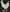 Left chicken