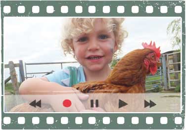 Watch our Video for a tour of the farm