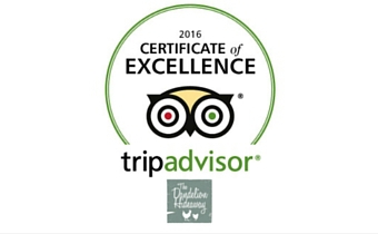Fifth Year Certificate of Excellence from Trip Advisor